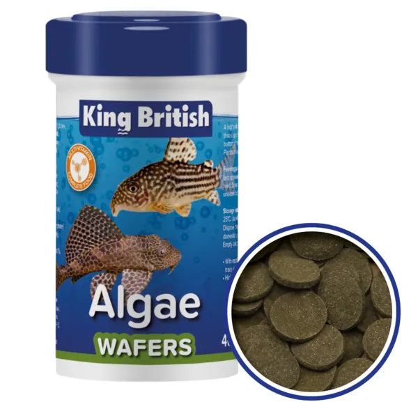 King British Algae Wafers 100g