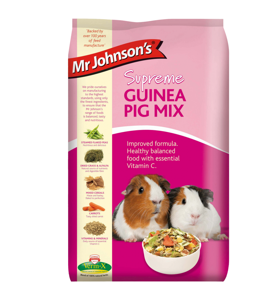 Mr Johnson Guinea Pig