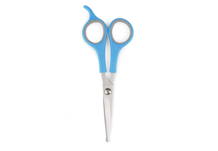 Blue-handled scissors on a white background