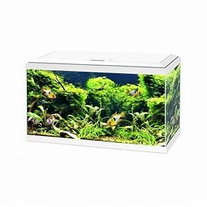 Ciano Aquarium 60 LED - White 58L
