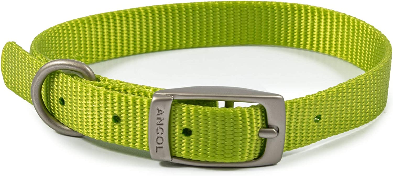 Ancol Viva Collar Lime 20-26cm Size 1