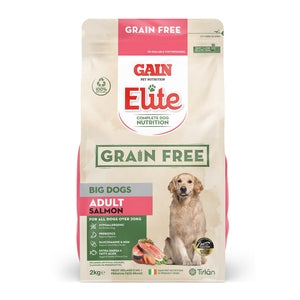 Gain Grain FREE Big Dog Salmon 2kg