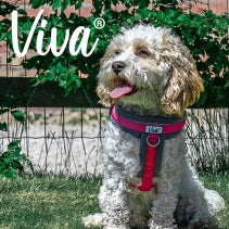 Ancol Viva Padded Harness Pink