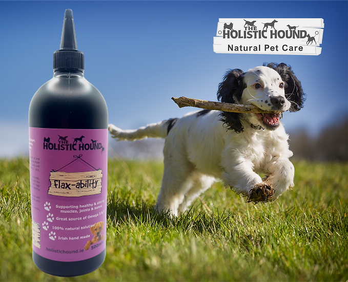 The Holistic Hound Flaxability