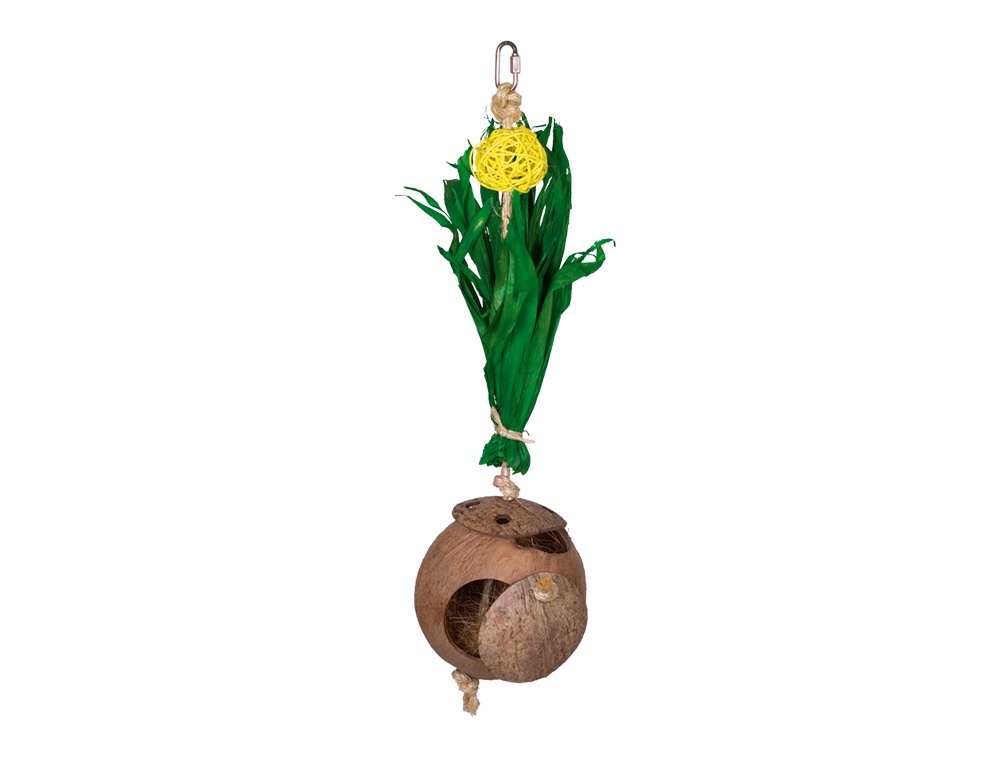 Nobby Coconut House With Corn Leaves