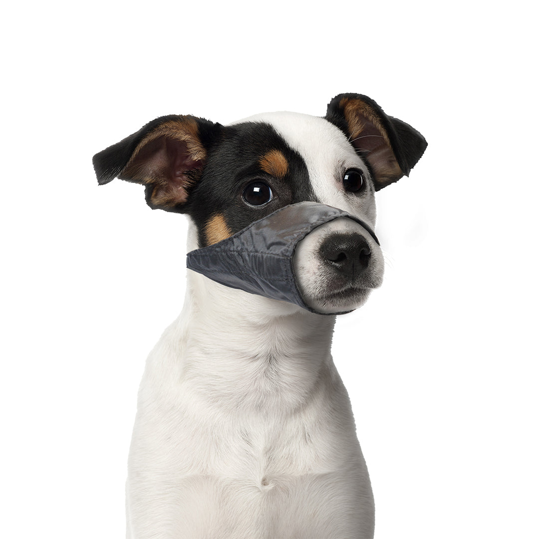 Dog muzzle nylon 43-64cm