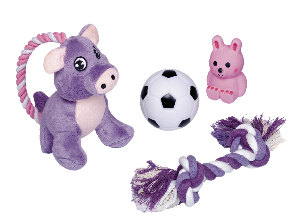 Nobby Puppy Starter Set 4 Pack