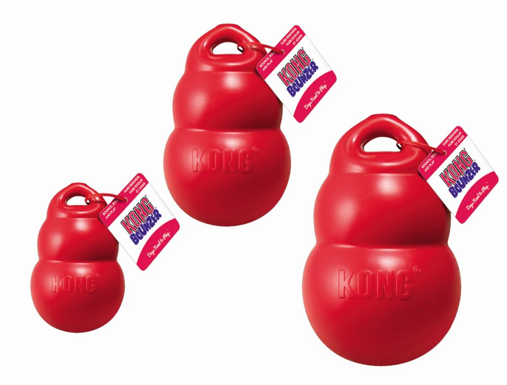 KONG Bouncer Large