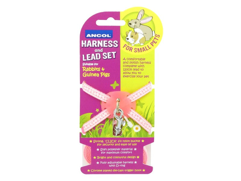Rabbit Harness & Lead Set Pink