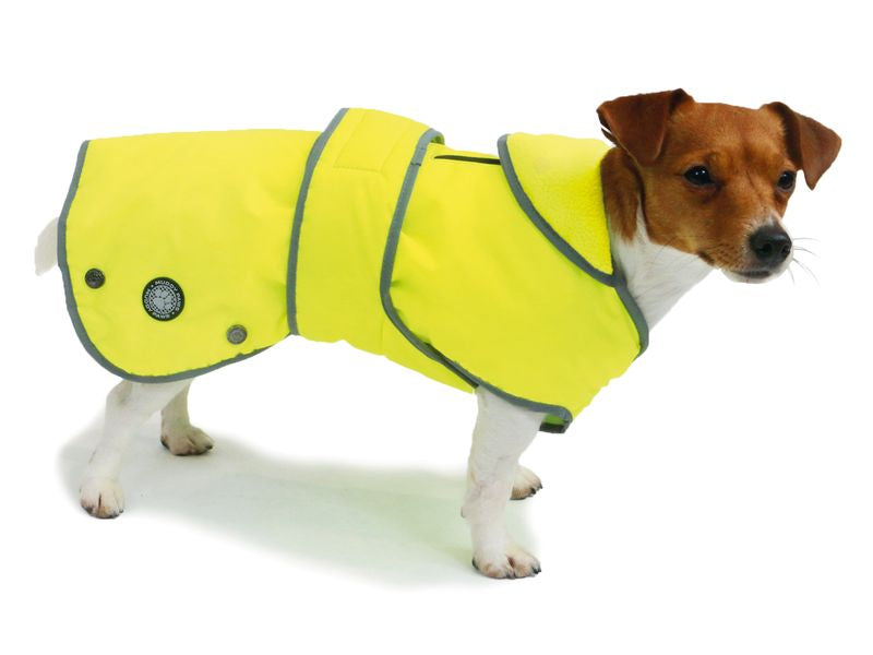 Ancol Muddy Paws Stormguard Dog Coat Hi-Vis Large