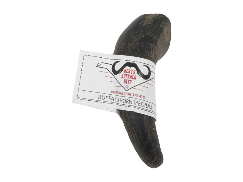 Dog Chew - Buffalo Horn Medium