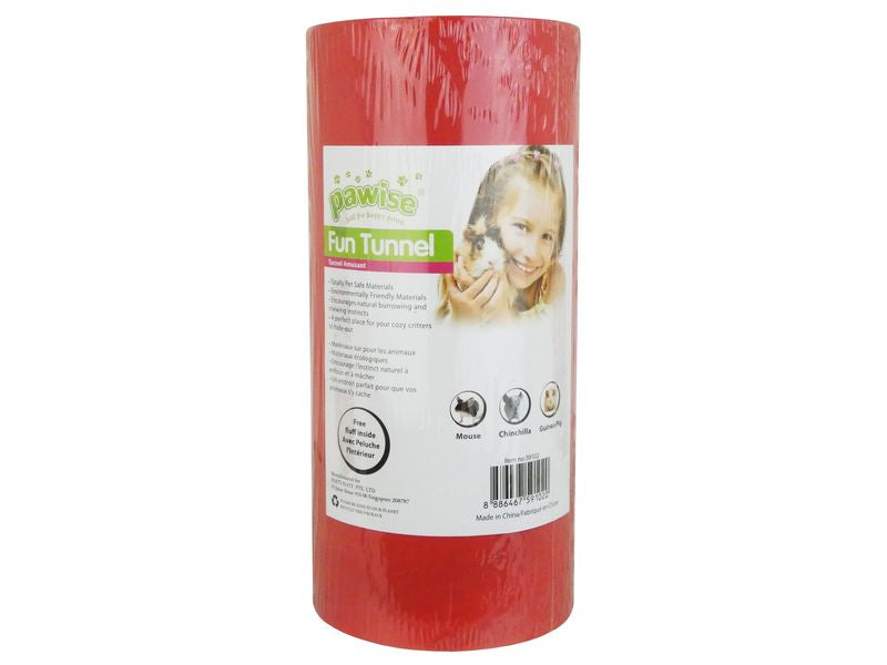 Fun Tunnel Playtube Medium