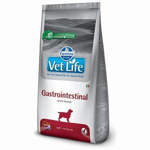 Vet Life Dog Gastrointestinal 2 kg