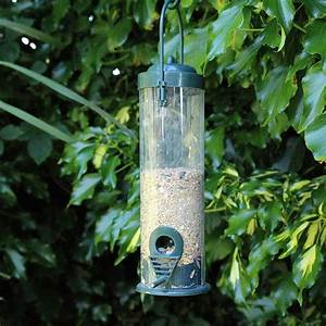 Seed Feeder