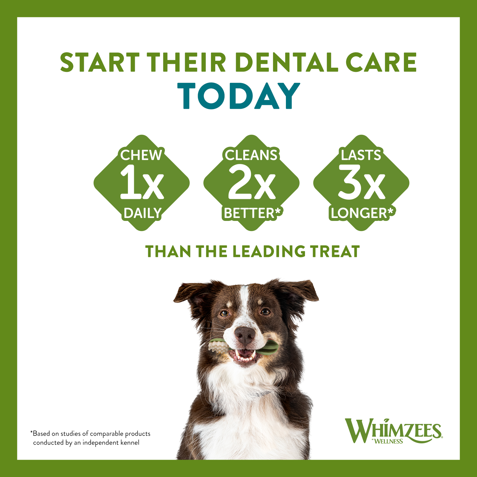 Whimzees Toothbrush Large 150mm