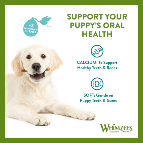 Whimzees Puppy Value Bag XSmall/Small 14 Stick
