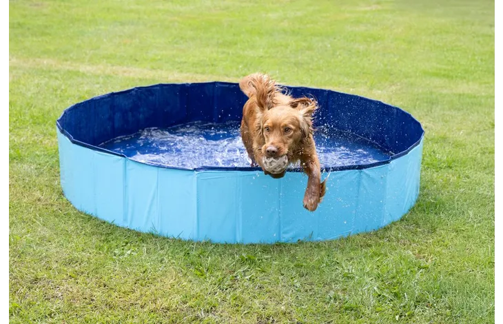 Flamingo Splatter Round Dog Paddling Pool – Blue