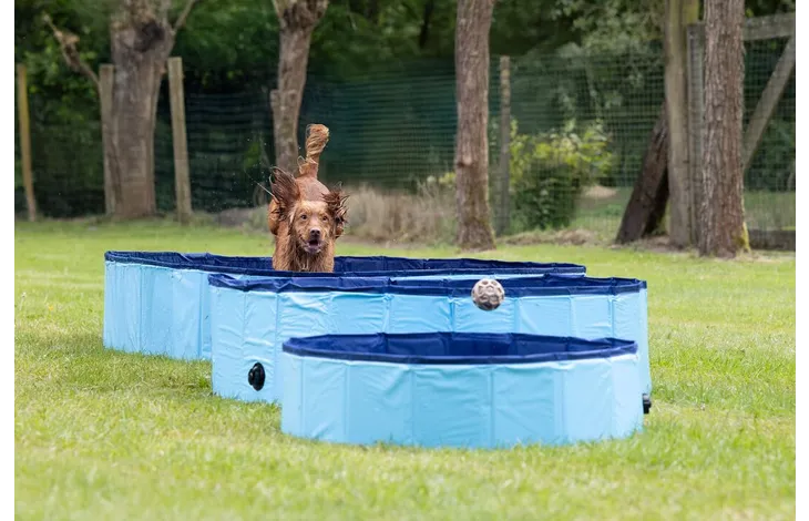 Flamingo Splatter Round Dog Paddling Pool – Blue
