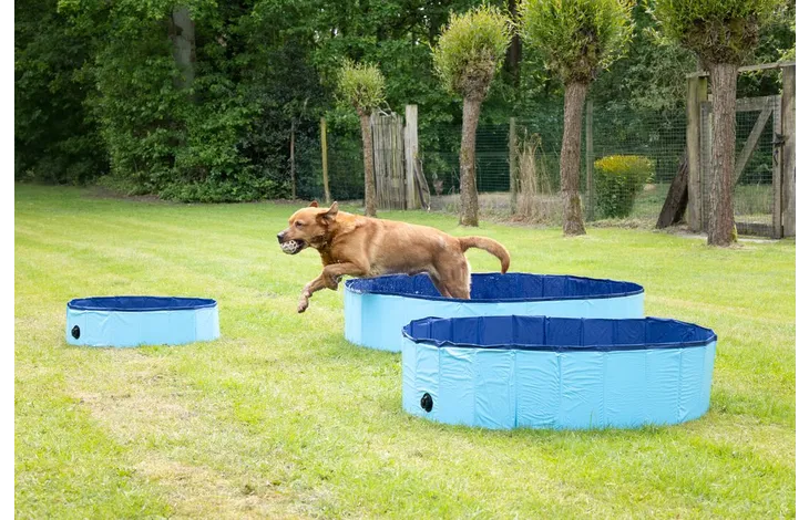 Flamingo Splatter Round Dog Paddling Pool – Blue