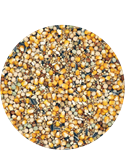 Mariman Standard Breeding & Racing without barley 25kg