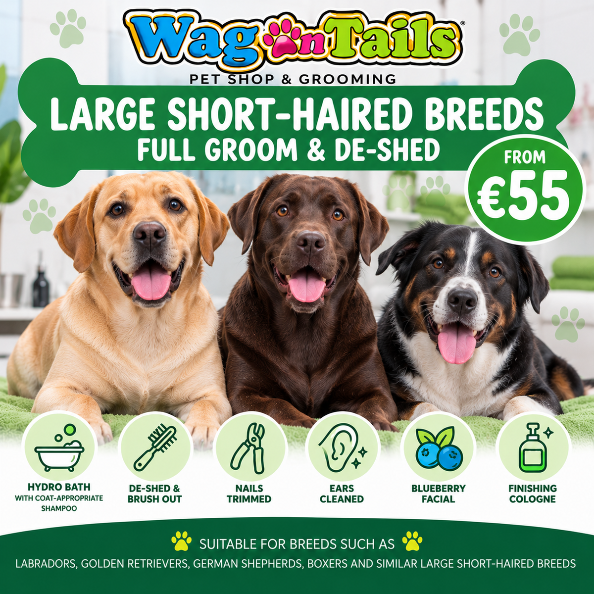 Large Short Haired - Full Groom & De Shed