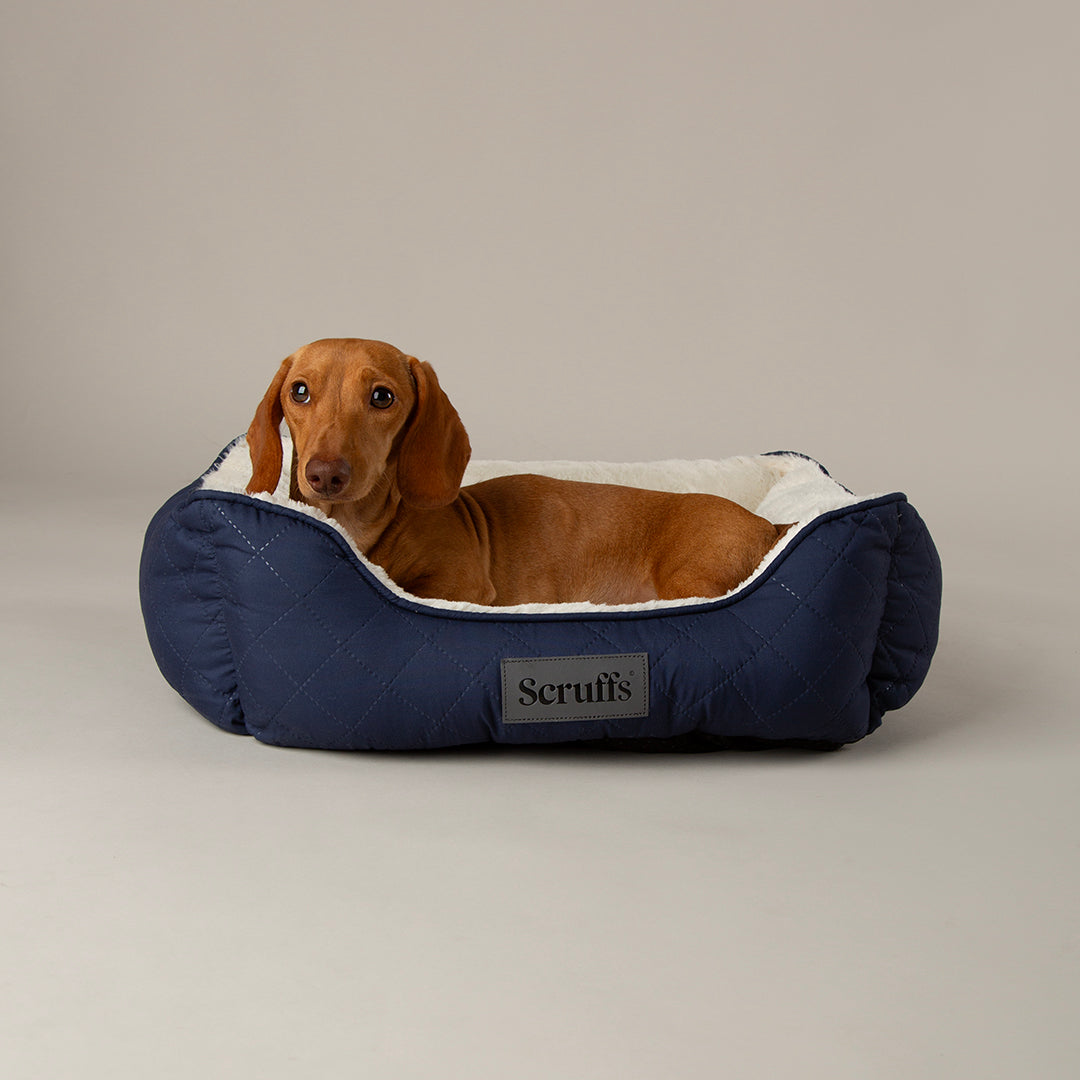 Scruffs Wilton Bed Navy Blue