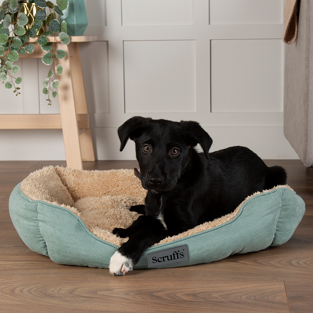 Scruffs Cosy Box Bed Sage Green