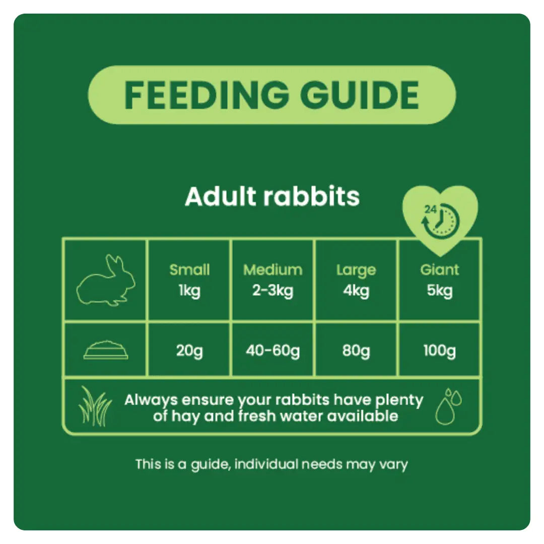 Burgess Excel Adult Rabbit Food Mint