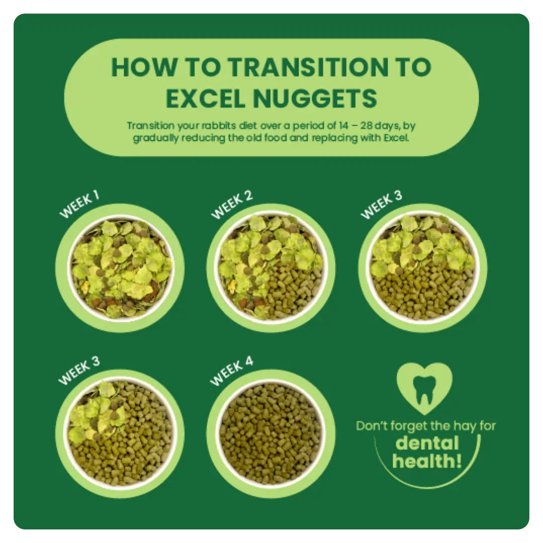 Burgess Excel Adult Rabbit Food Mint
