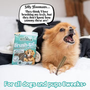 Park Life Brush-Stix Turkey & Peppermint 180g (7x Medium Sticks)