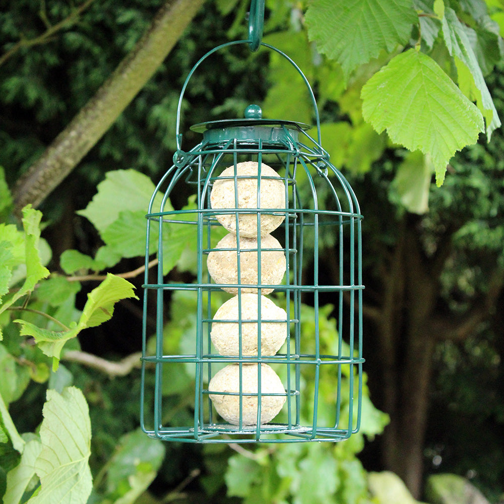 Wild Bird Crow Proof Fatball Feeder