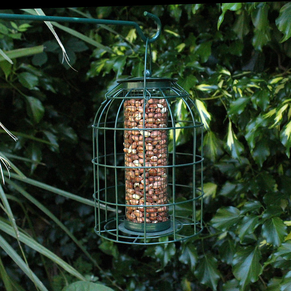 Wild Bird Crow Proof Nut Feeder