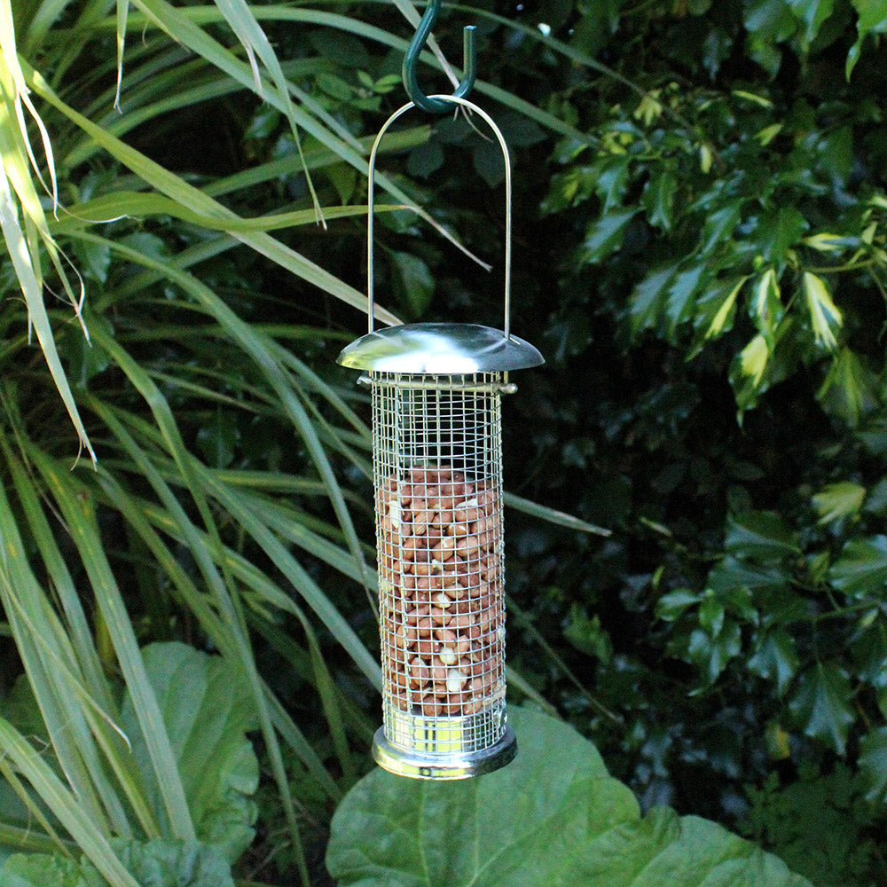 Wild Bird Deluxe Nut Feeder