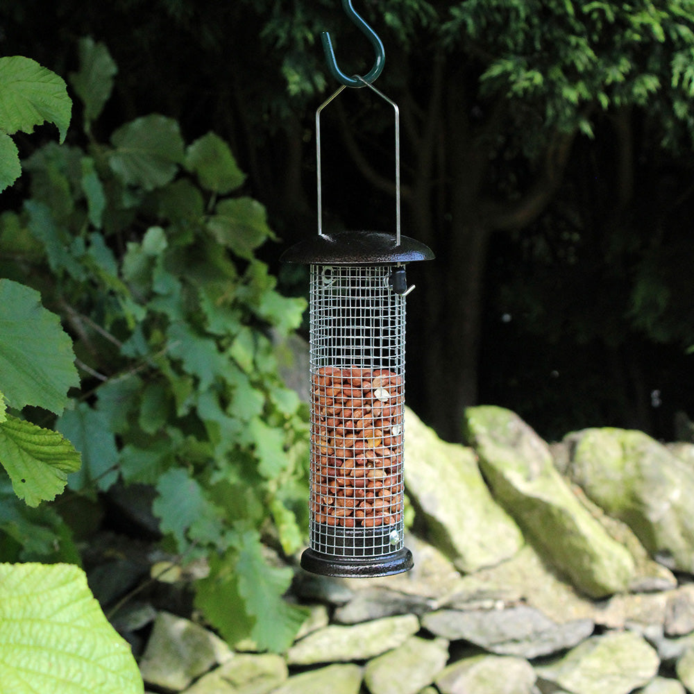 Wild Bird Hammertone Nut Feeder