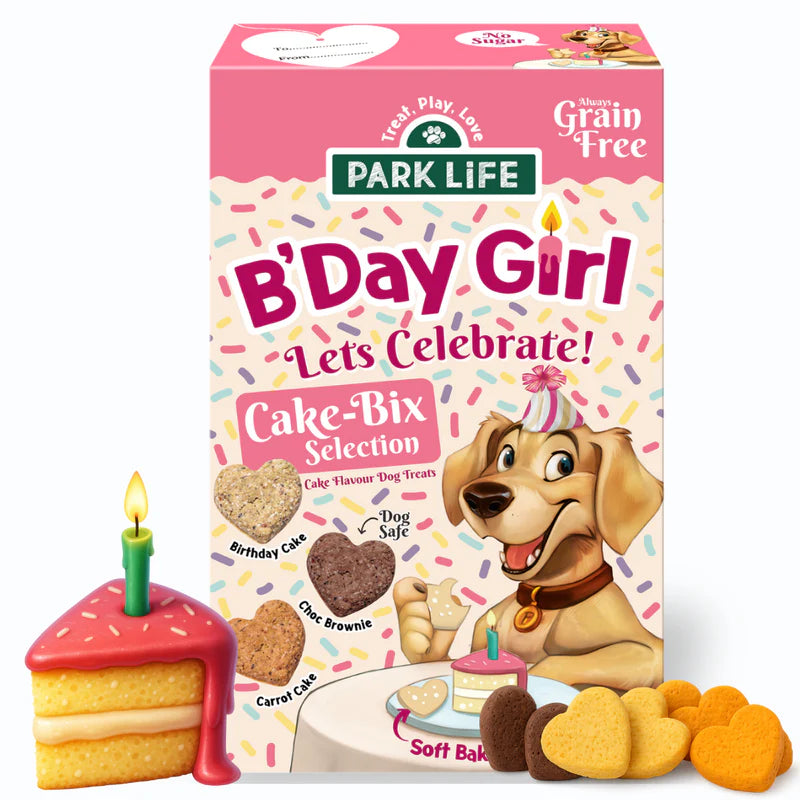 Park Life Cake-Bix B'Day Girl Cake Selection 240g