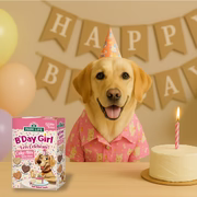 Park Life Cake-Bix B'Day Girl Cake Selection 240g