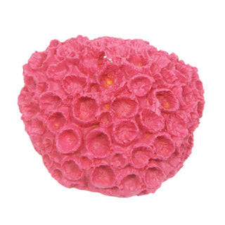 Betta - Mini Pink Sun Coral Ornament
