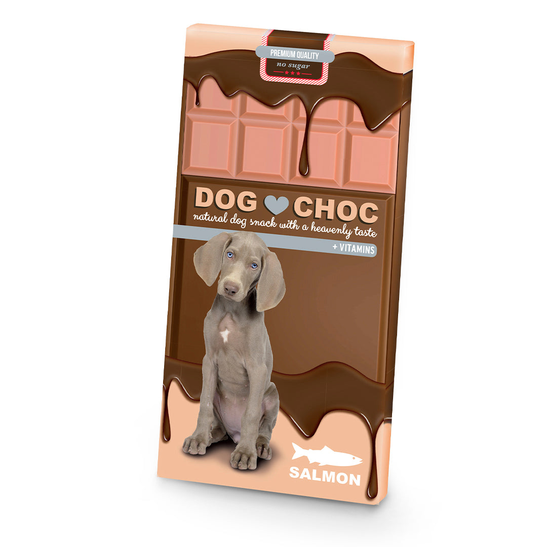 DuvoPlus Dog Choc Salmon Dog Treat Chocolate Bar 100g