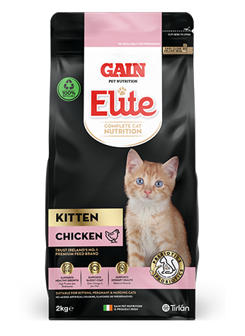 Gain Elite Kitten