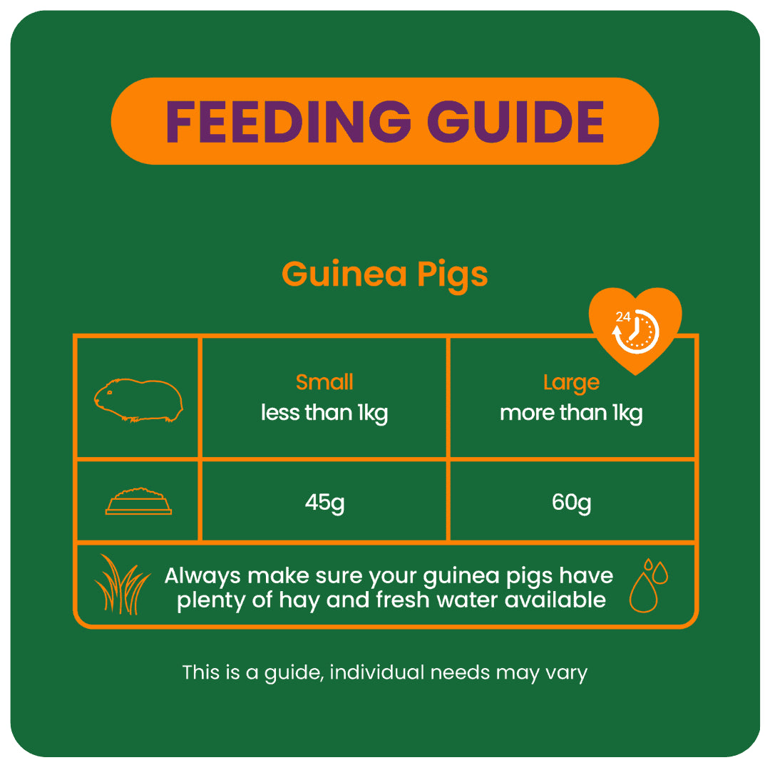 Burgess Excel Guinea Pig Blackcurrent 1.5kg