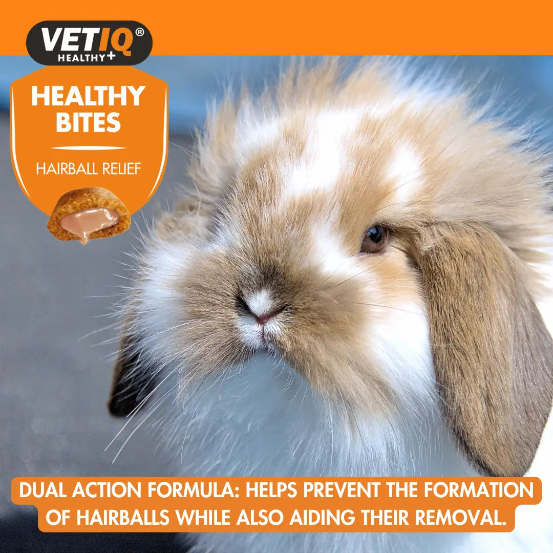 VETIQ Healthy Bites Hairball Relief for Small Animals 30g