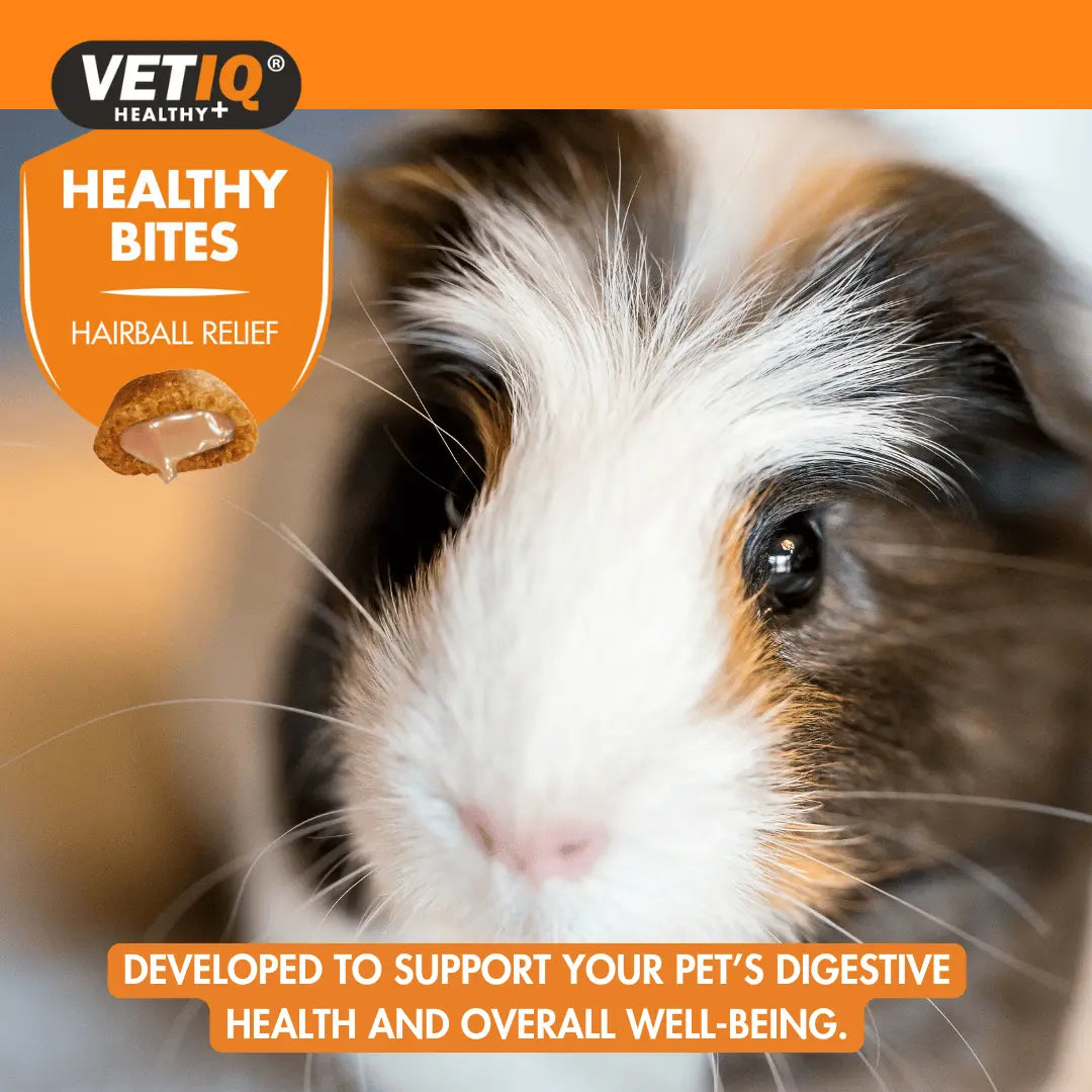 VETIQ Healthy Bites Hairball Relief for Small Animals 30g
