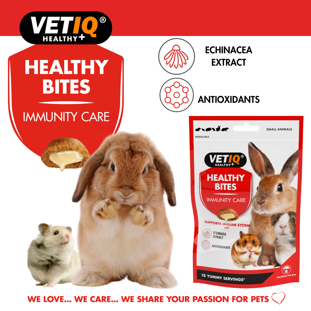 VETIQ Immunity Care Treats for Small Animals 30g