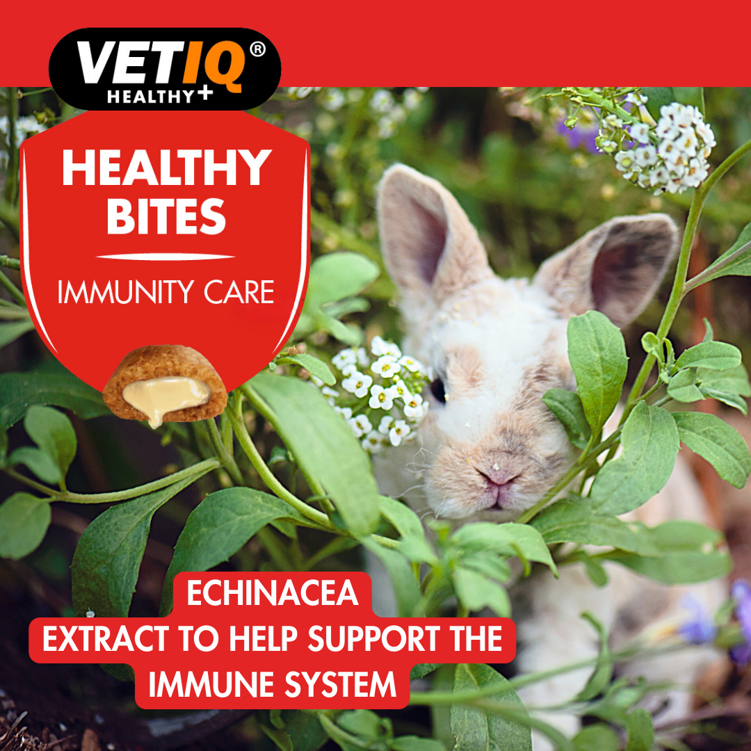 VETIQ Immunity Care Treats for Small Animals 30g