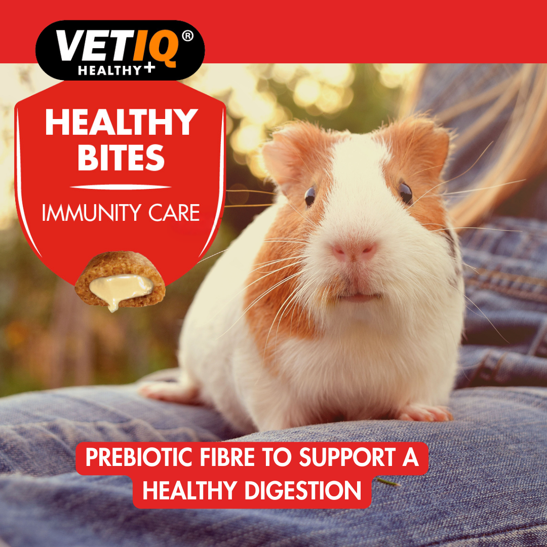VETIQ Immunity Care Treats for Small Animals 30g