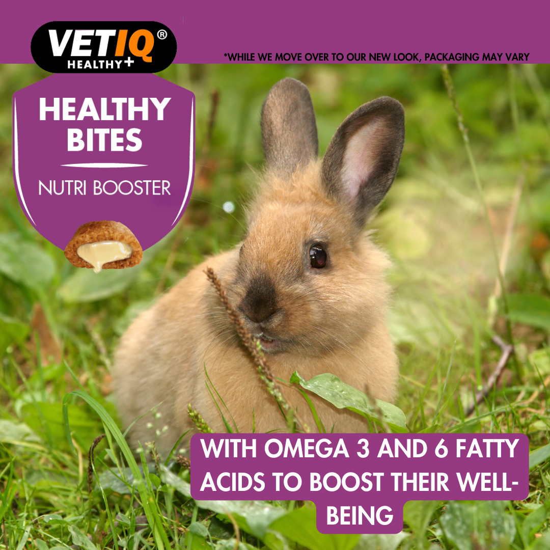 VETIQ Nutri Booster Treats for Small Animals 30g