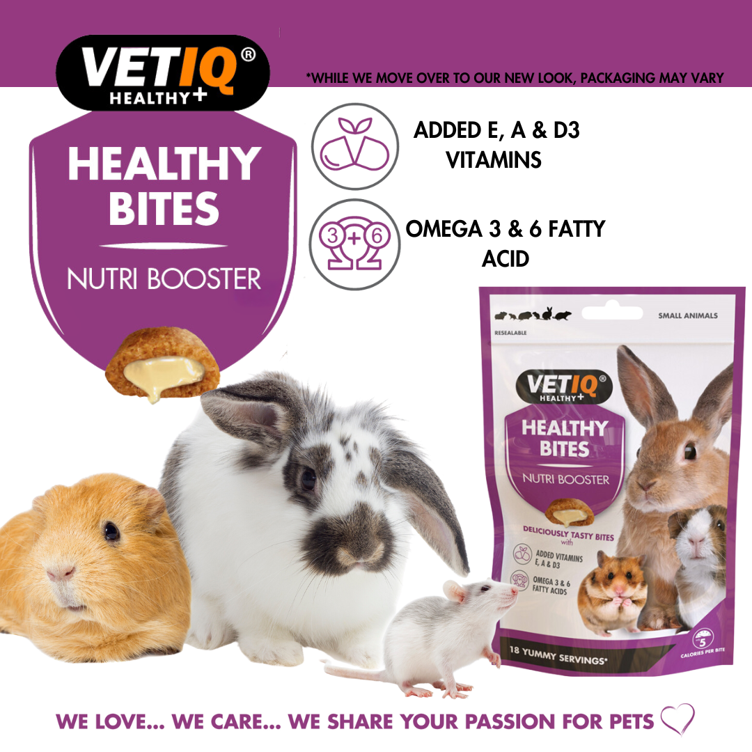 VETIQ Nutri Booster Treats for Small Animals 30g