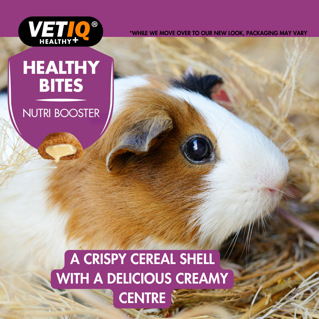 VETIQ Nutri Booster Treats for Small Animals 30g