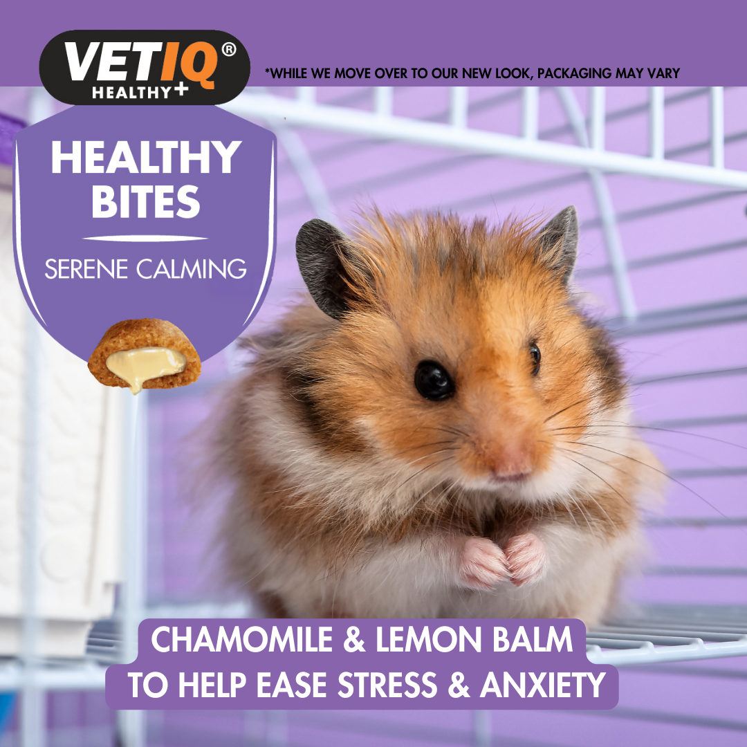 VETIQ Serene Calming Bites for Small Animals 30g