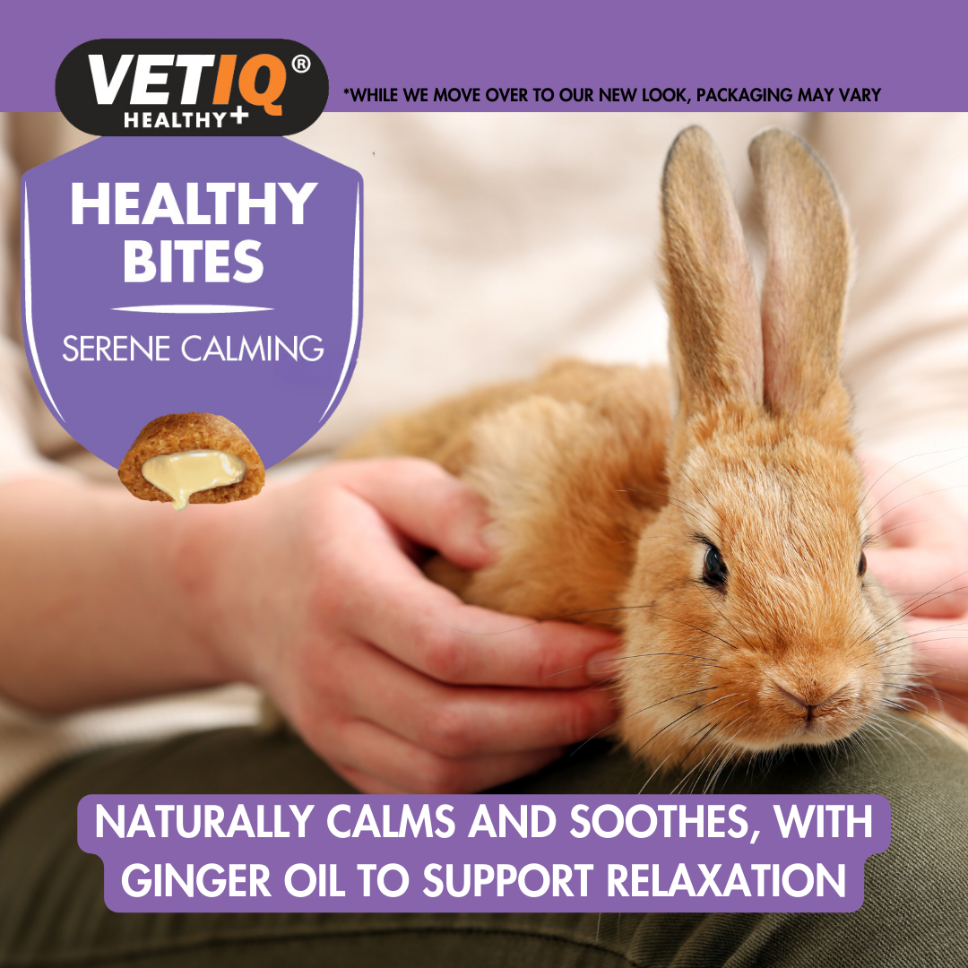 VETIQ Serene Calming Bites for Small Animals 30g